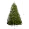 6ft. Pre-Lit Cambridge Spruce Flat Back Artificial Christmas Tree, Warm White LED Lights